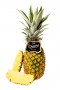 ANANAS_B-1_800x1200px