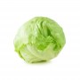 ICEBERG