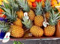 ananas1
