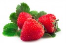 fragole3