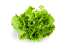 insalata2