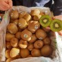 kiwi1