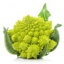 romanesco