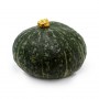 zucca